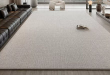 Carpet living room Italian minimalist 2024 new waterproof bedroom no wash erasable light luxury high-end sofa home floor mat