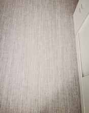 Carpet living room Italian minimalist 2024 new waterproof bedroom no wash erasable light luxury high-end sofa home floor mat