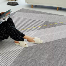 Carpet Living Room Nordic Luxury Sofa Tea Table Carpet Modern Simple Grey Bedroom Home Floor Mat Large Area