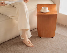 Carpet living room 2024 new Maillard French minimalist retro sofa, coffee table blanket, light luxury high-end no wash floor mat