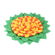 Interactive Feed Time Dog Iq Training Intelligence Snuffle Mat Supplier Washable Sniffing Portable Feeding Pet Dog Snuffle Mat