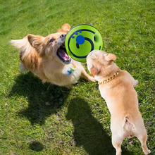 Wholesale Pet Interactive Food Non-toxic And Odorless Molar Rubber Dog Chew Toy Ball Dog Toys