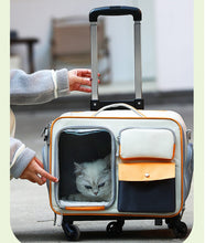 Cat bag, portable outdoor pet suitcase, small dog bag, high appearance and stress resistant cat backpack