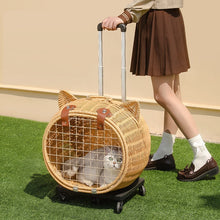 Cat bag, portable outdoor pet suitcase, woven suitcase, dog bag, high aesthetic value, stress resistant cat backpack