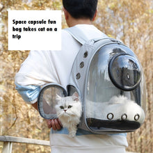 Cat bag for outdoor use, portable space capsule, pet backpack, dog backpack, large capacity backpack, outdoor cat backpack, summer cat supplies