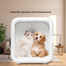 Drying Box Pet Fully Automatic Cat Drying Machine Breathable Large Capacity Pet Store Used for Drying Cats and Dogs