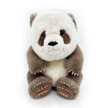 Brown Panda Plush - Limited Release - 14"