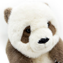 Brown Panda Plush - Limited Release - 14"