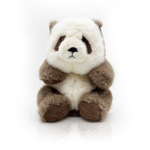 Brown Panda Plush - Limited Release - 10.5"