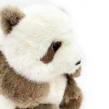 Brown Panda Plush - Limited Release - 10.5"