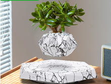 Invention patent source manufacturer magnetic levitation potted plant magnetic levitation flowerpot foreign trade source agency free shipping creative ornament