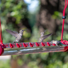 Bob's Best Hummingbird Feeder