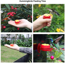 Handheld Hummingbird Feeders With Suction Cup