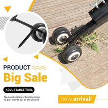 ( BIG SALE TODAY ) Mintiml Weeds Snatcher