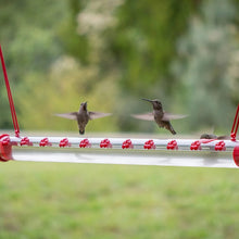 Bob's Best Hummingbird Feeder