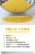 Mizhi millet Shaanxi yellow millet Mizhi county new millet yellow millet Shanbei specialty baby oil millet porridge