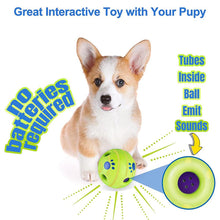 Plastic Funny Durability Interactive Dog Squeaky Toy Pet Dog Rolling Ball With Sound