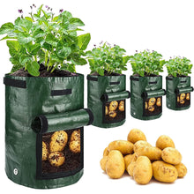 Potato Grow Bags Plant Grow Bags 10 Gallon Heavy Duty Thickened Growing Bags Garden Vegetable Planter with Handles