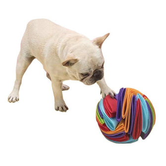 Factory Promotions Washable Pet Feeding Toy treat Sniffing Ball