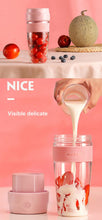 Portable 300ml mini fruit milk juicer Electric USB Rechargeable Ice Smoothie Fruit Blender handheld traveling Juicing Cup