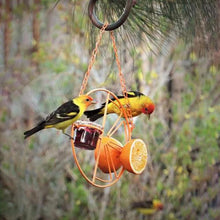 Geometric Garden Bird Feeders