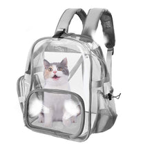 pvc china factory custom clear pvc vinyl backpack bag packsack knapsack Animal Puppy knapsack clear rucksack bag for dog pet cat