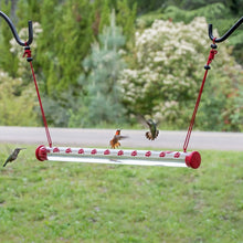 Bob's Best Hummingbird Feeder