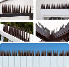 Dayoung Bird control Decorative Garden Pigeon Deterrent Anti Bird Spikes plastic