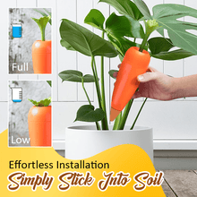 Creative Automatic Plant Watering Carrots - 2PCS