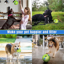 Plastic Funny Durability Interactive Dog Squeaky Toy Pet Dog Rolling Ball With Sound