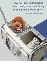 Customized pet trolley bag large space hatchback multi-cat carrying case cat bag portable breathable cat cage