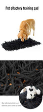 Hot Sale High Quality Slow Food Mat Pet Training Mat Dog Snuffle Mat