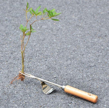 Stainless Steel Gardening Weeder